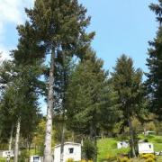 camping_belvedere_cantal