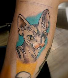 mickey_meilleur_tatoueur_languedoc_convention_tatouage_france_cantal_ink