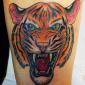 betty_festival_tatouage_tigre