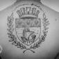 tatouage dos ecusson ville de Paris