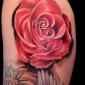  yannick_studio_tatouage_montelimar_tatoueur_festival_chaudes-aigues_tattoo