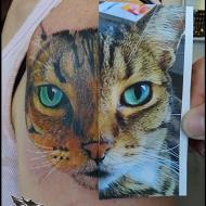 david_psykedeklik_meilleur_tatoueur_montlucon_convention_tatouage_france