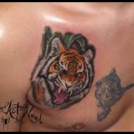 laurent_stone_meilleur_tatoueur_pyrenees_orientales_convention_tatouage_france_cantal_ink