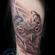 logan_meilleur_tatoueur_avignon-studio_tatouage_graphicaderme_convention_tatouage_cantal