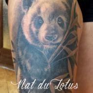 natacha_simard_meilleure_tatoueuse_quebec_convention_tatouage_france_cantal_ink