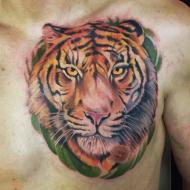 prince_tattoocompris_meilleur_tatoueur_limoges_convention_tatouage_auvergne