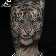 roxd_meilleure_tatoueuse_var_convention_tatouage_cantal_ink