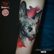 thomas_carli_jarlier_meilleur_tatoueur_clermont_ferrand_convention_tatouage_france